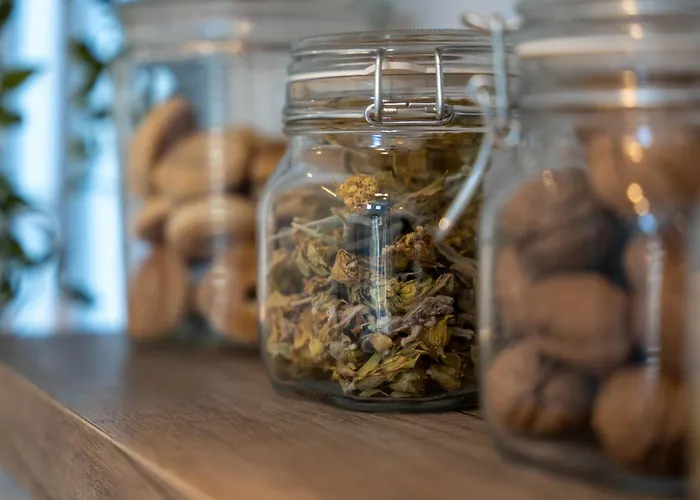 Apartamento Michelangelo Oia (Santorini)