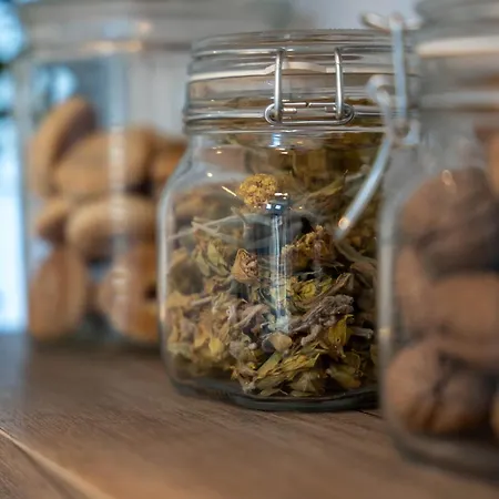 아파트 Michelangelo 이아