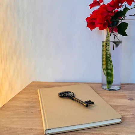 Michelangelo Apartment